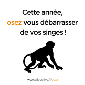 singe debarrasser