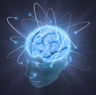 Valentine_viard_brain_perception 